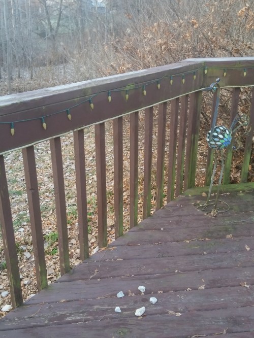 rockcirclefencenwoods